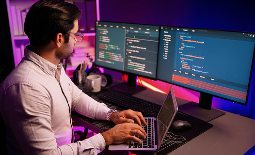 Webflow Development service 03